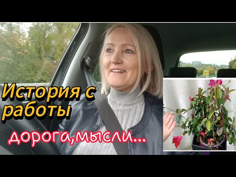 Видео: История с работы/Дорога,мысли,цветы #ольгабуднигермании 