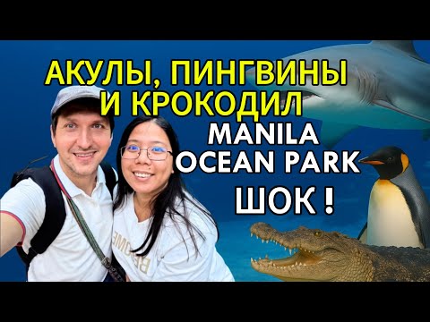 Видео: Manila Ocean Park — Удивительный подводный мир Филиппин! Акулы, Пингвины и Гигантский Крокодил! 🐧🐊🐠