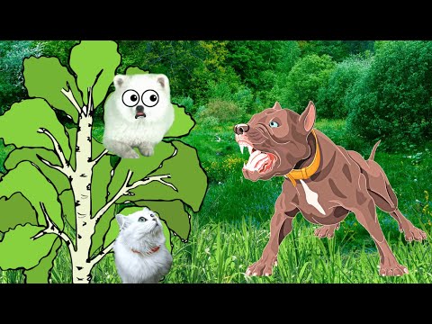 Видео: БЕДНЫЙ ЩЕНОК! Тебе было ОЧЕНЬ СТРАШНО и БОЛЬНО?! Мы тебе ПОМОЖЕМ!!!