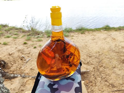 Видео: Змеевуха