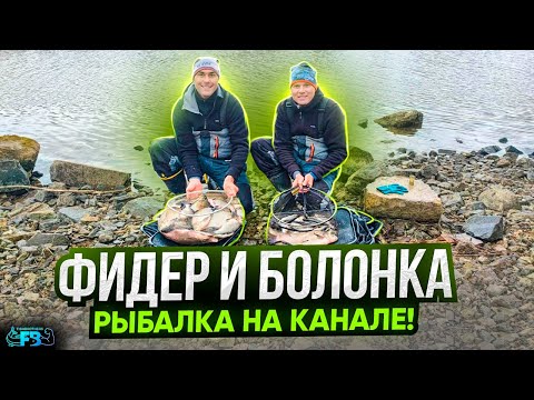 Видео: Болонка и фидер на Канале! Открытие сезона, лещи и плотва не дают скучать!