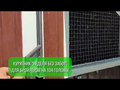 Видео: 🐓Выращиваем бройлеров круглогодично по уникальной технологии в модуле "Неделя без забот"