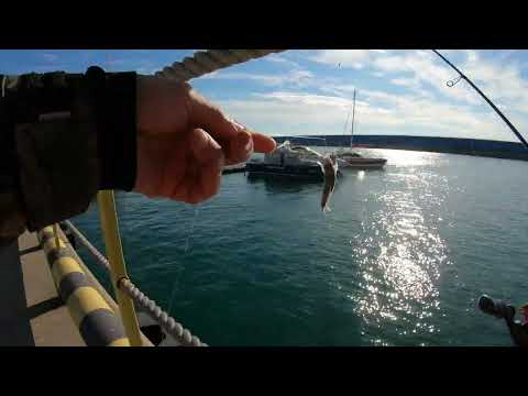 Видео: #sochi Рыбалка .. 2.11.2024.  4К ..