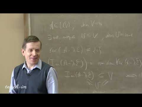 Видео: Тимашев Д.А. - Линейная алгебра и геометрия.Семинары - 8.Коммутирующие семейства линейных операторов