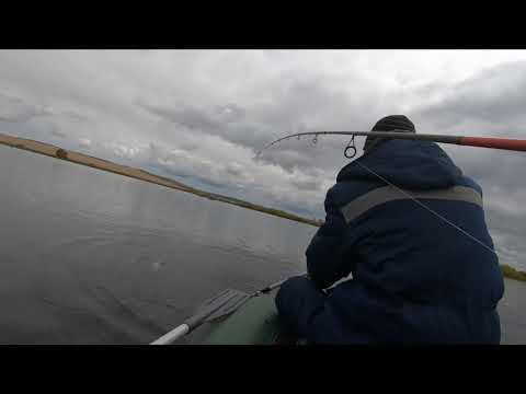Видео: Октябрьская щучка.