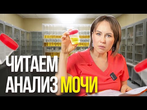 Видео: Учимся понимать анализ мочи! Общий анализ МОЧИ, РАСШИФРОВКА АНАЛИЗА