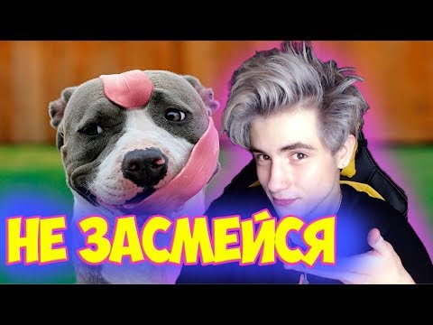 Видео: НЕ ЗАСМЕЙСЯ ЧЕЛЛЕНДЖ | САМОЕ УГАРНОЕ ВИДЕО | ЧЕЛЛЕНДЖ ПОПРОБУЙ НЕ ЗАСМЕЯТЬСЯ | TRY NOT TO LAUGH