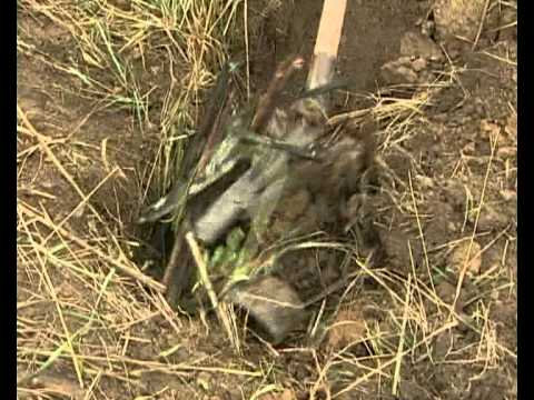 Видео: Техника безопасности на воздушных линиях связи