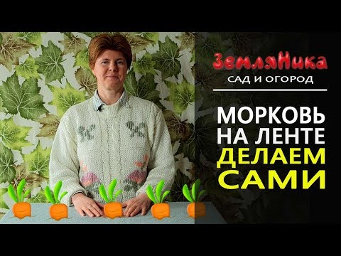 Видео: Морковь на ленте. Делаем в домашних условиях. Самый удобный способ. 0+