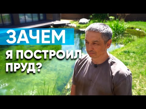 Видео: Какие преимущества у владения прудом? Отвечаю на вопросы!