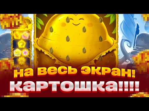 Видео: КАРТОШКА НА ВЕСЬ ЭКРАН! ИГРАЕМ В ROYAL POTATO 2 ЗАНОСЫ НЕДЕЛИ НА 150 000