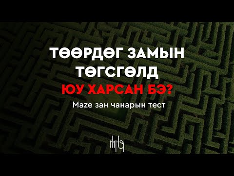 Видео: Зан чанарын тэст | Personality test #3