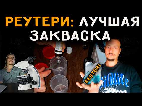 Видео: Реутери: лучшая закваска (Lactobacillus Reuteri)
