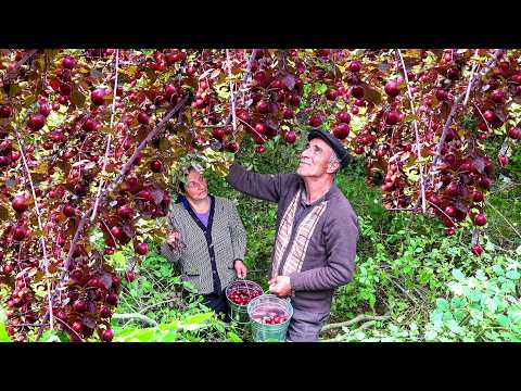 Видео: От горы до стола | Как пожилая пара выживает в горах