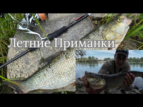 Видео: Рыбалки в Германии, Как ловить если нет разрешения? Решение - Франция! #спиннинг #жерех #рыбалка