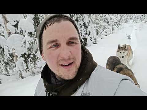 Видео: строительство избы.три трофея за проверку