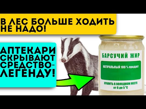 Видео: Незаслуженно забыт! Лечит простуду, бронхит, творит чудеса с суставами…Барсучий жир
