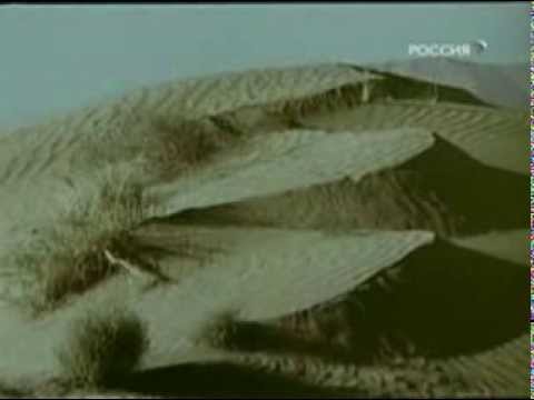 Видео: Песни Афгана. Юрий Шкитун - "Хоп харап"