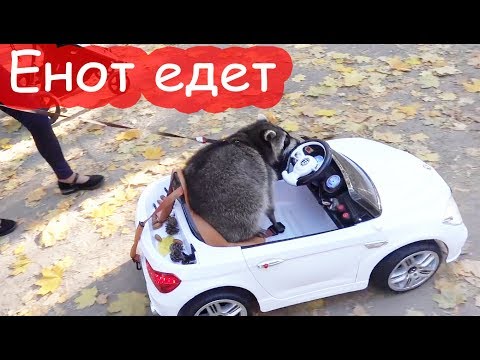 Видео: VLOG Лимон, Алиса и Даша на детской площадке