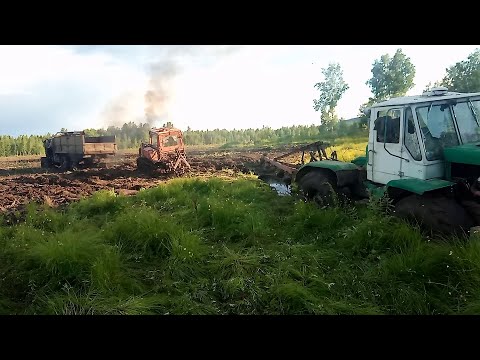 Видео: Тянем-потянем... Самая крутая посадка тракторов за последние несколько лет!!!