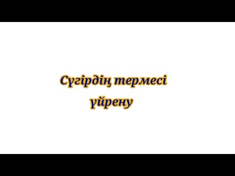 Видео: Сүгірдің термесін үйрену