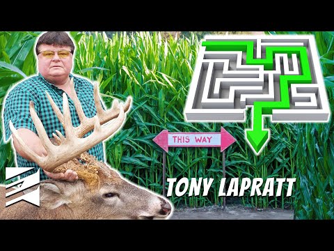 Видео: Оптимальная стратегия охоты на небольших участках: добывайте больше оленей на небольших участках