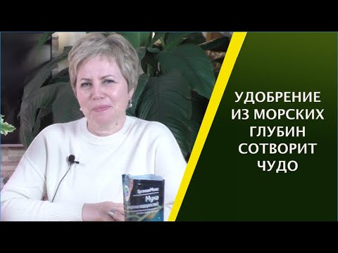 Видео: КАК ПРАВИЛЬНО ИСПОЛЬЗОВАТЬ МУКУ ИЗ МОРСКИХ ВОДОРОСЛЕЙ!