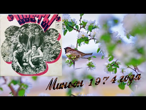 Видео: Виниловый миньон 1974 года ВИА Цветы