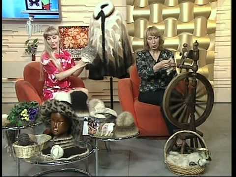 Видео: Собачья шерсть. Прямой эфир на НТВ+