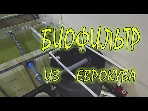 Видео: АККР,Биофильтр в УЗВ для Австралийских раков. AKKR, Biofilter in RAS for Australian crayfish