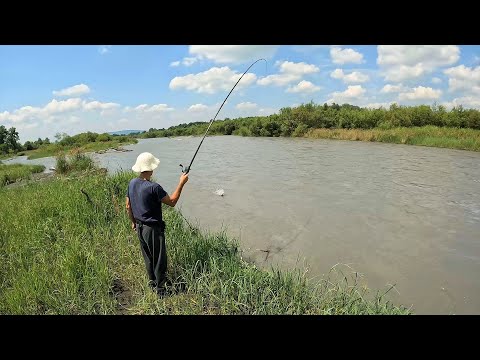 Видео: РЫБАЛКА В САМОМ КРАСИВОМ МЕСТЕ. СЕВЕРНОЙ ОСЕТИЯ. ЛОВЛЯ УСАЧА НА ГОРНОЙ РЕКЕ.