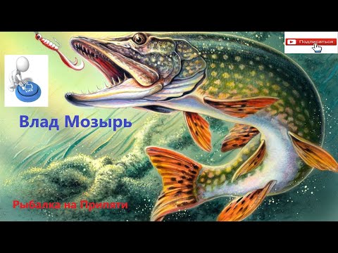Видео: Троллинг на Припяти