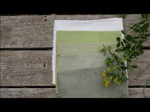 Видео: Окрашивание ткани натуральными красителями: Зверобой / Natural Dyes: St. John's Wort
