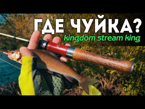 Видео: ПОКЛЁВКА в РУКУ на КАЖДОМ забросе - Kingdom Stream King! ТЕСТ на мелком окуне! #мормышинг