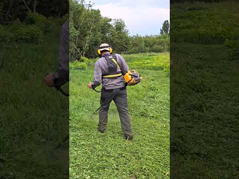 Видео: Итальянская бензокоса 🙄😋😍