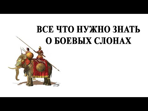 Видео: Все что нужно знать о боевых слонах