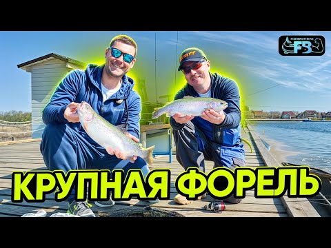 Видео: Крупная форель в РК Язь
