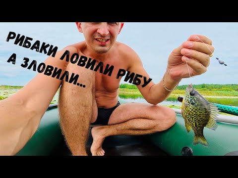 Видео: Рыбалка в стиле "Все пропало"