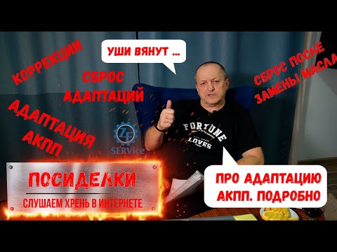 Видео: "Посиделки ч.3" Что говорят на тему АДАПТАЦИИ/ Коррекции АКПП. Разбираемся подробно.