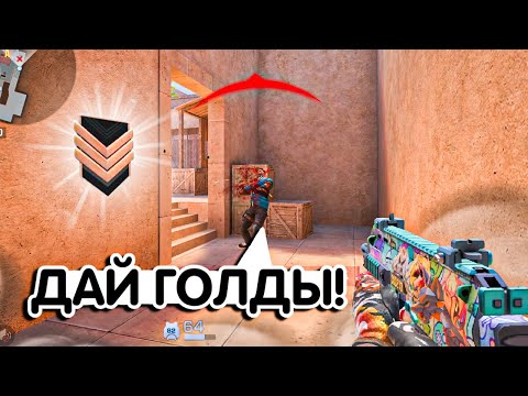 Видео: ИЗДЕВАЮСЬ НАД ПОПРОШАЙКОЙ НА БРОНЗЕ🤣🤣 l Демка