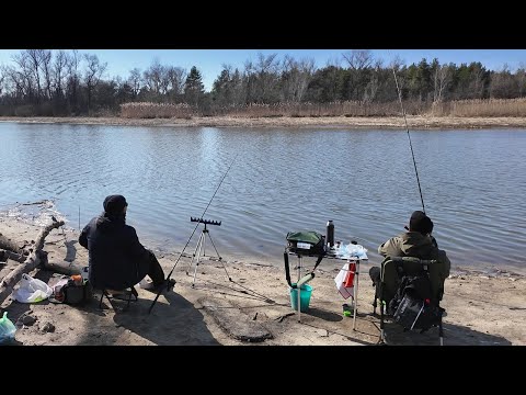 Видео: Тут вже клюють карасі! Фідерна риболовля в березні
