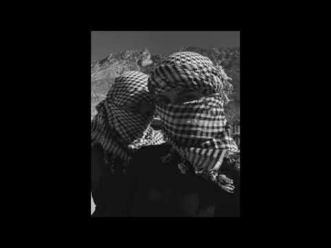Видео: Гио Пика "HABIBI" ft RAIKAHO | TRAP Rap Boom Bap Instrumental 2025