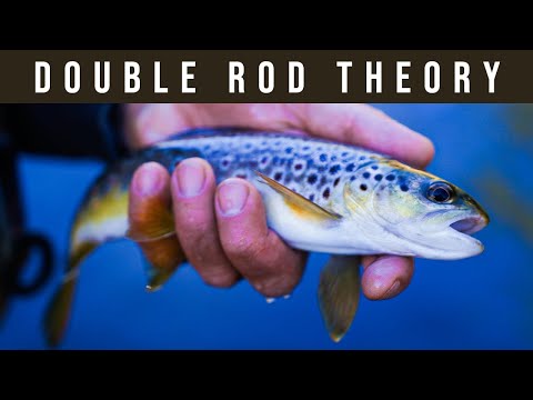 Видео: Ловля рыбы нахлыстом двумя удилищами — эффективность на реке