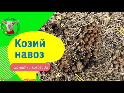 Видео: Навоз как удобрение или 100%  успеха