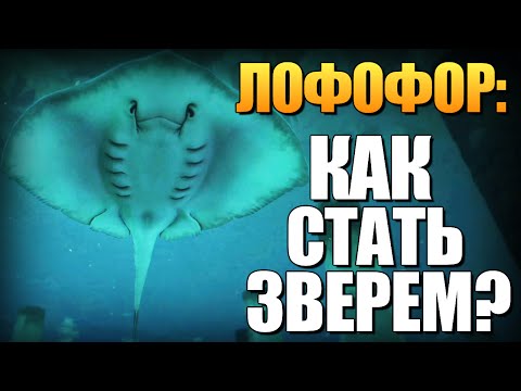 Видео: GTA 5 - Как Играть за Животных? (Лофофоры) #10