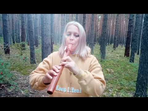 Видео: Пимак в лесу/ Native American Flute in the forest