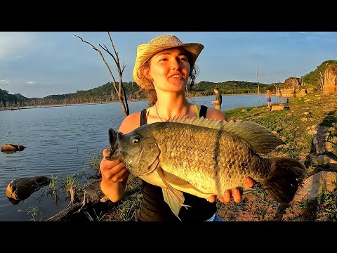 Видео: Потрясающая рыбалка на леща (тилапию) в африканском кустарнике