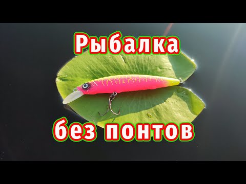 Видео: Рыбалка БЕЗ ПОНТОВ! Воблер обыграл все приманки!