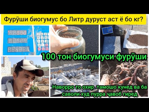 Видео: Фурӯши биогумус бо Литр дуруст аст ё бо кг? 100тон биогумус тайёр ба фурӯш дорем марҳамат занг занед