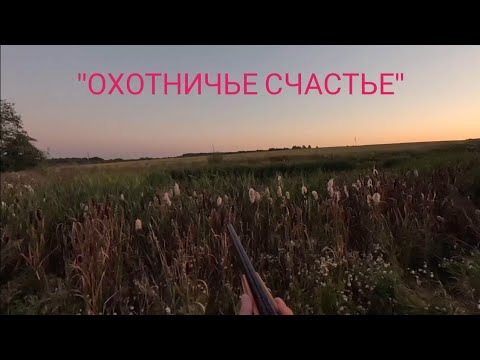 Видео: ОСЕННЯЯ ОХОТА НА УТКУ  / ОХОТА НА ВЕЧЕРНЕЙ ЗОРЬКЕ